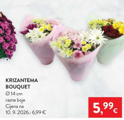 KRIZANTEMA BOUQUET