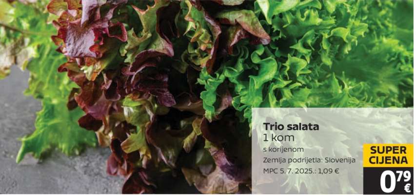 Trio salata