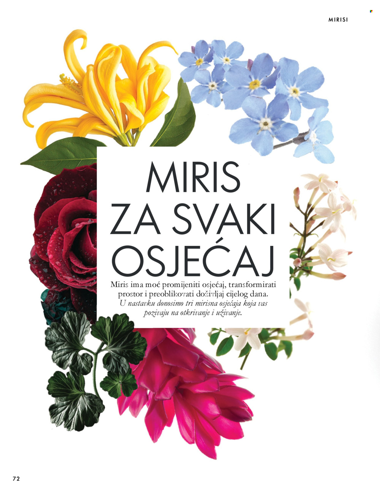 Oriflame katalog - 07.10.2026. - 17.11.2026. Stranica 72