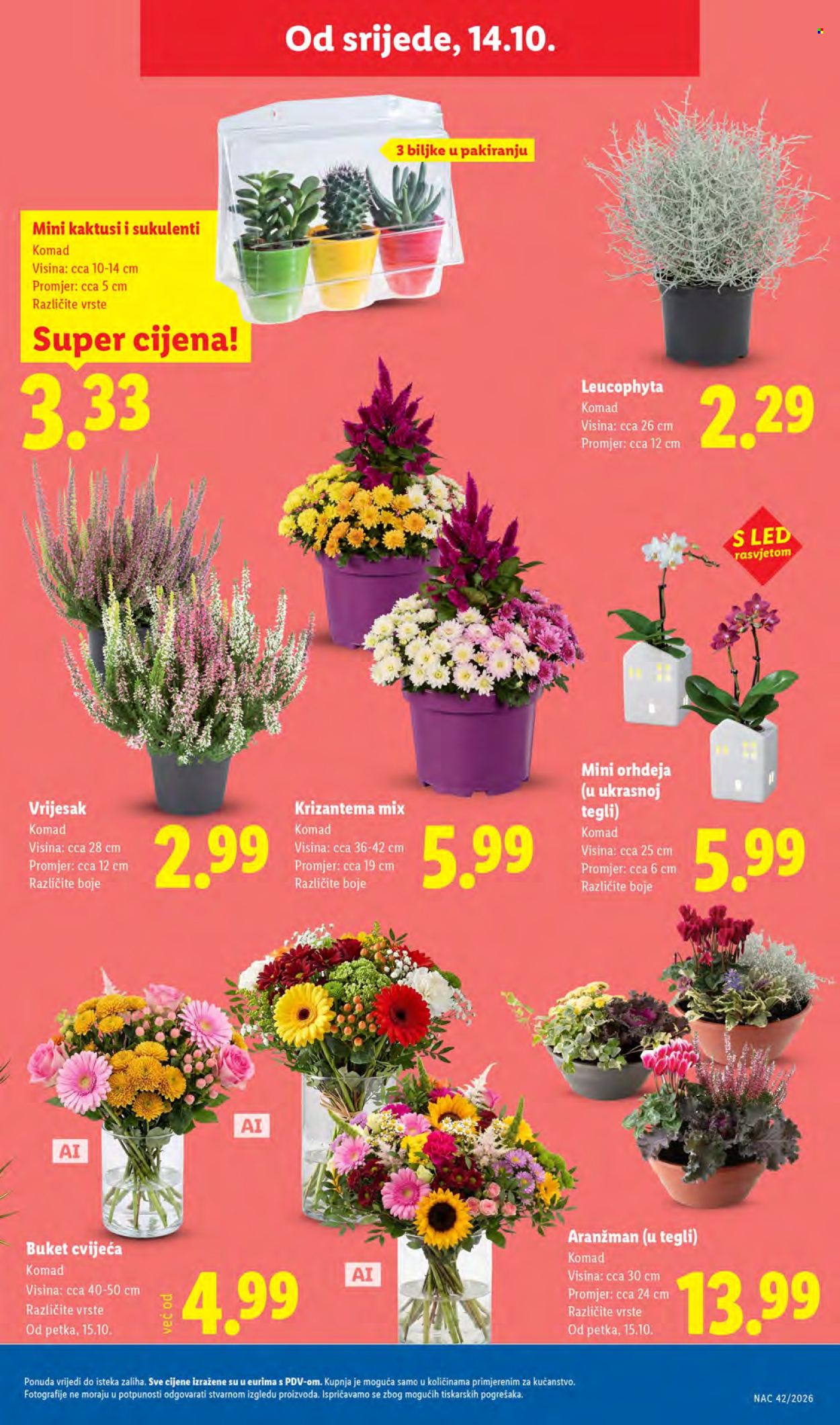 Leták Lidl - 12.10.2026 - 18.10.2026. Strana 37