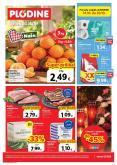 leaflet