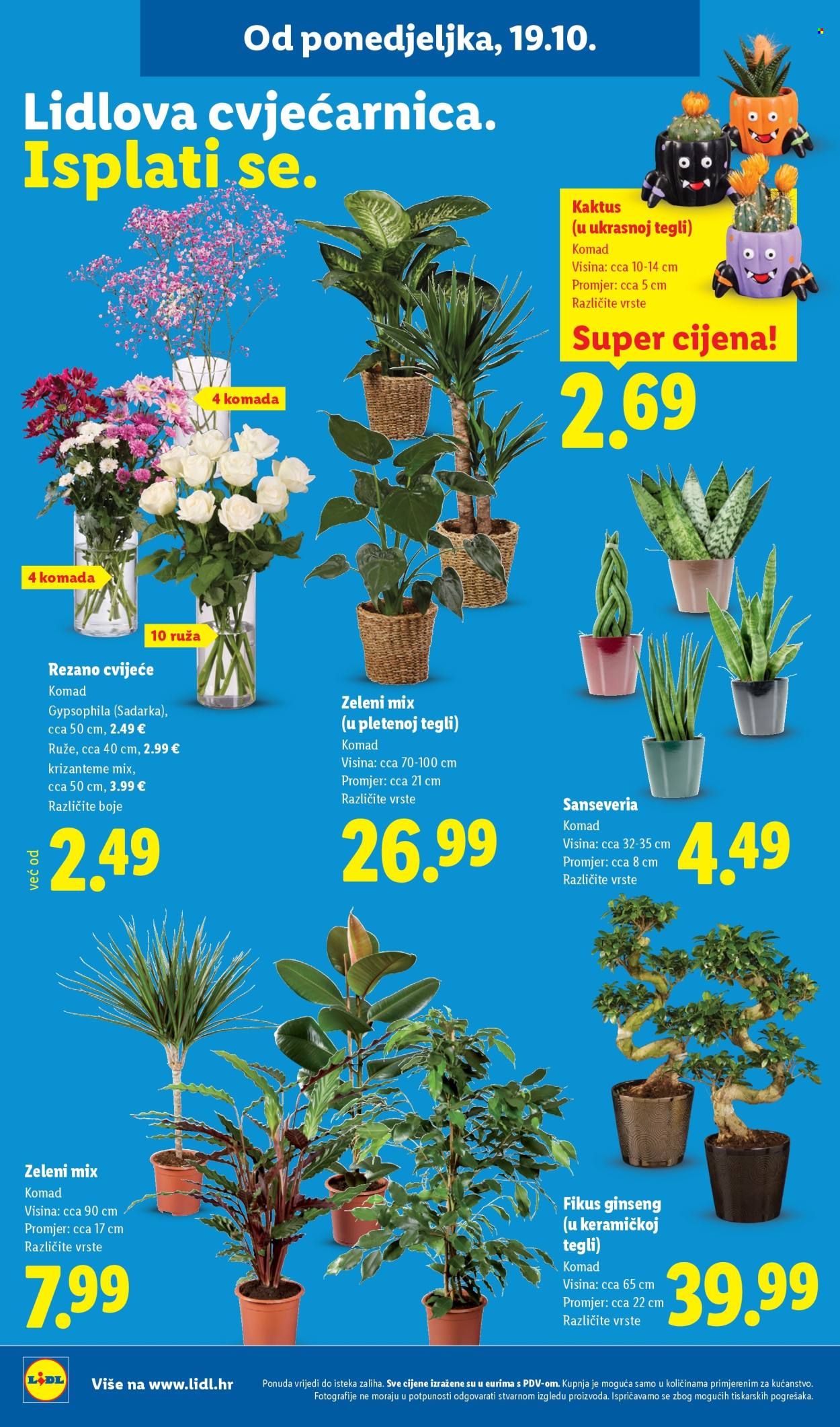 Leták Lidl - 19.10.2026 - 25.10.2026. Strana 52