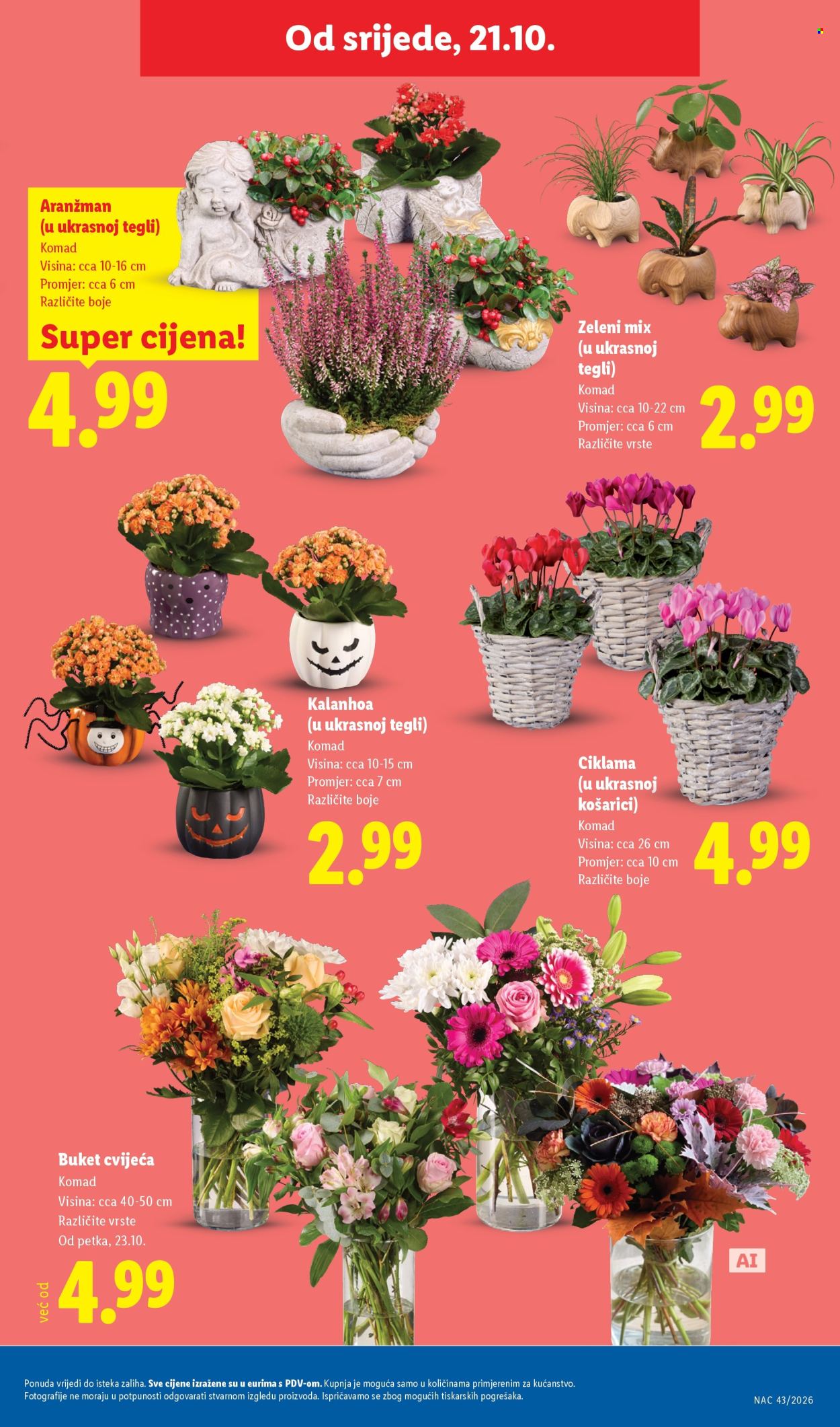 Leták Lidl - 19.10.2026 - 25.10.2026. Strana 53