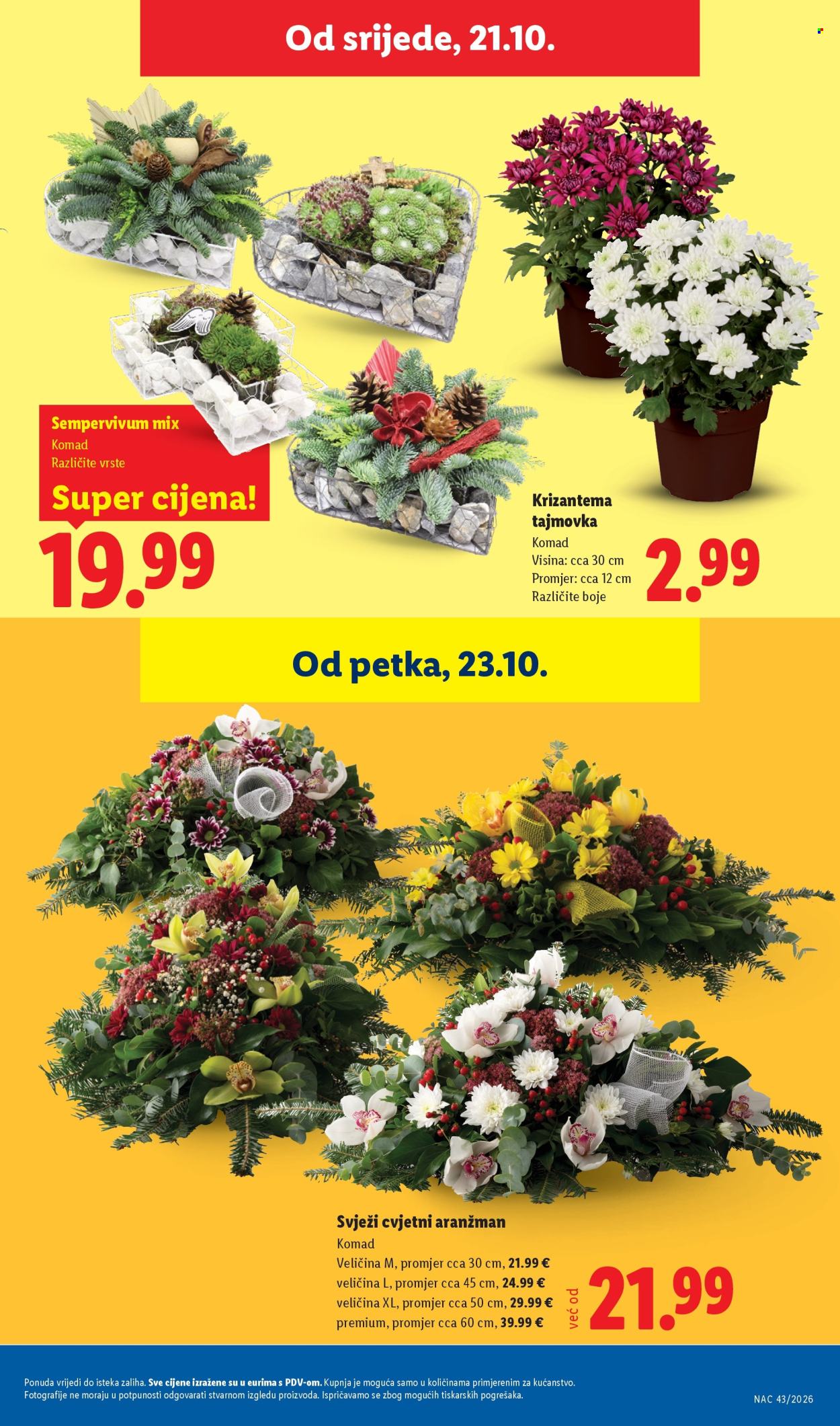 Lidl katalog - 19.10.2026. - 25.10.2026. Stranica 55