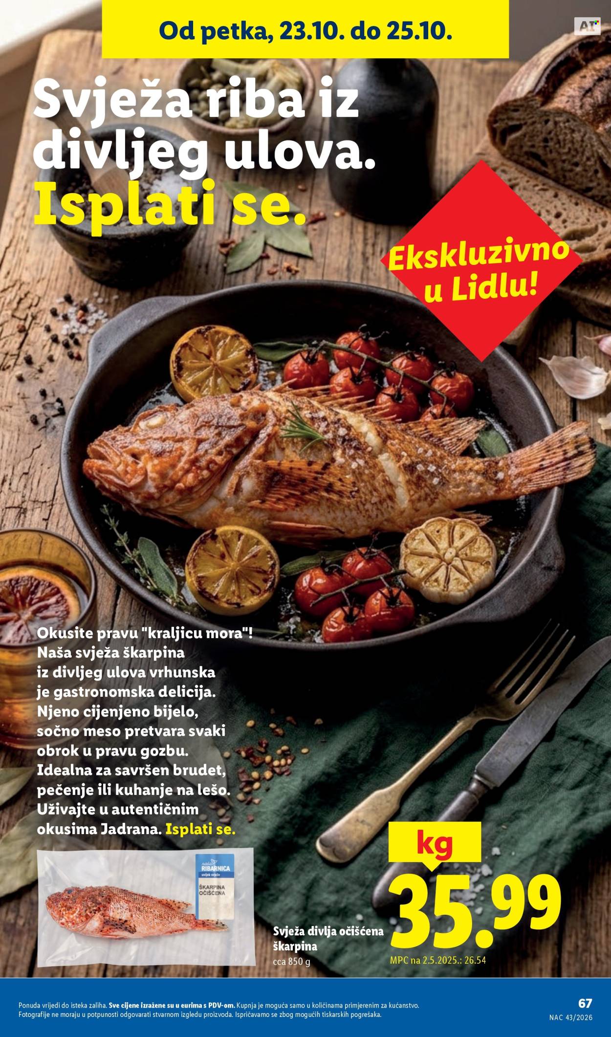 Leták Lidl - 19.10.2026 - 25.10.2026. Strana 67