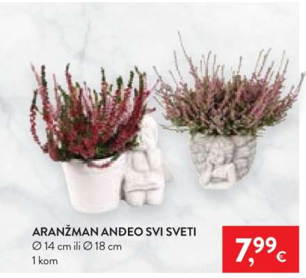 ARANŽMAN ANĐEO SVI SVETI