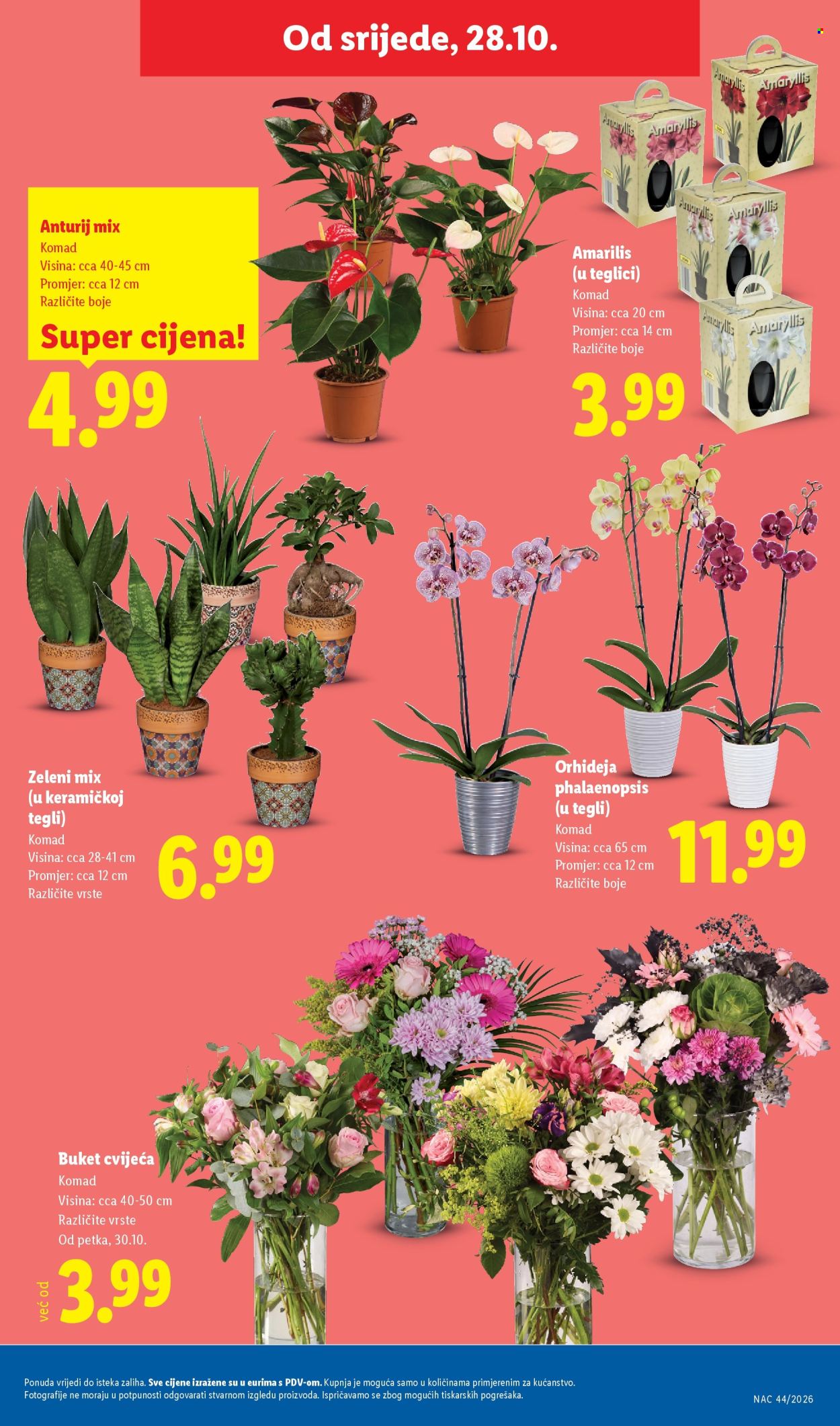 Lidl katalog - 26.10.2026. - 31.10.2026. Stranica 63