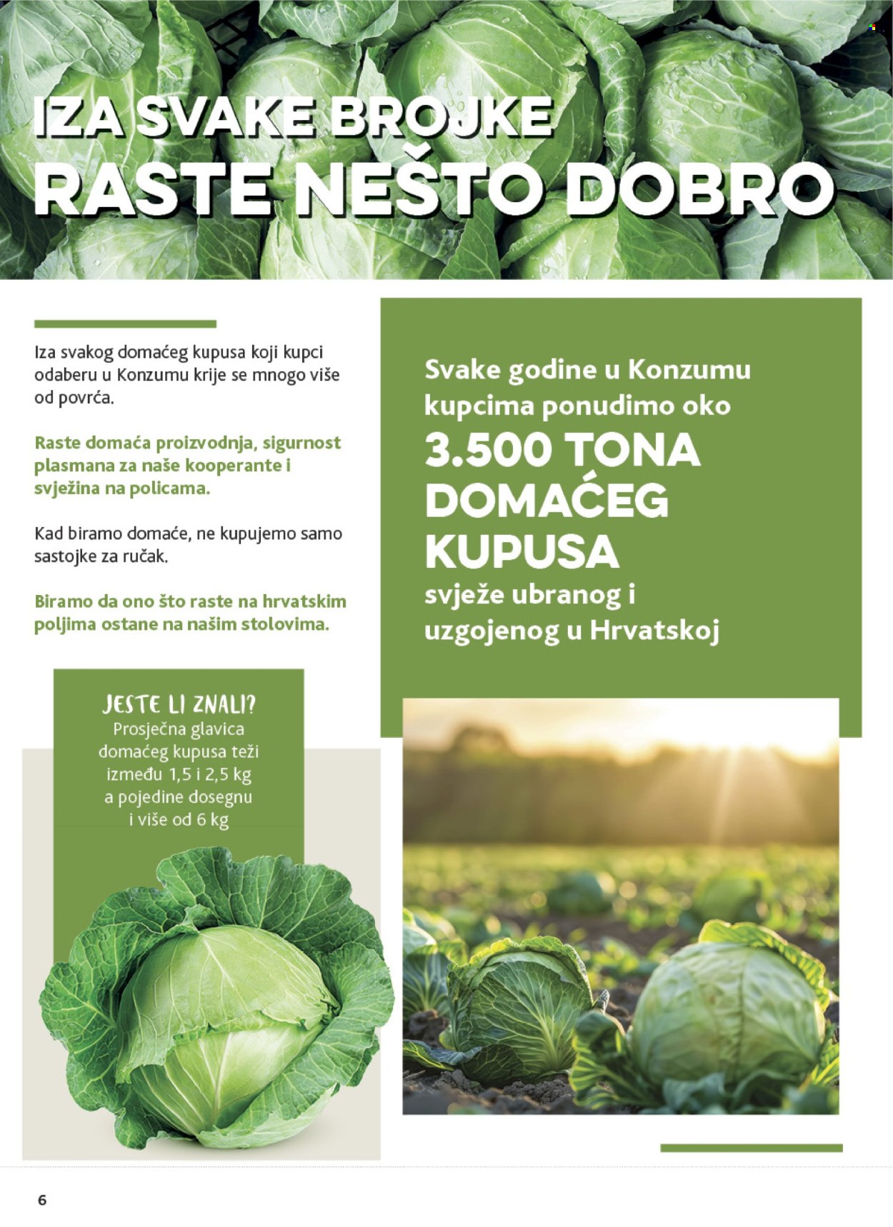 Konzum katalog - 28.10.2026. - 03.11.2026. Stranica 6